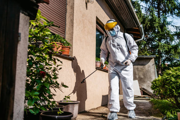 Best Cockroach Control Services  in Country Clu, CA