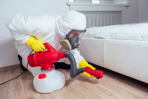 Best Affordable Pest Control Services  in Country Clu, CA