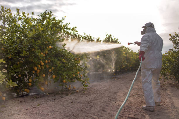 Trusted Country Clu, CA Pest Control Experts