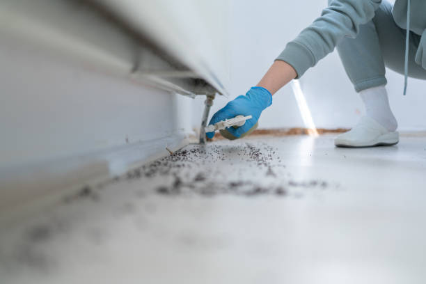 Best Pest Control Near Me  in Country Clu, CA